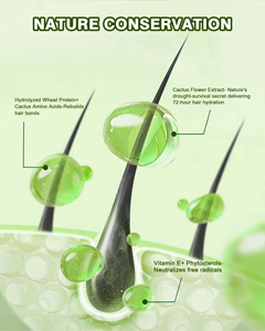 Huile Capillaire Réparatrice aux Herbes et aux Fleurs de <span class=keywords><strong>Cactus</strong></span> OEM GATASE – Soins Capillaires Professionnels Sous Marque Privée pour Cheveux Abîmés – Produits en Gros - Product Image 5