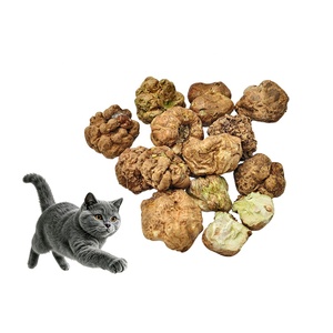 OEM ODM Hot Selling Natural Actinidia Polygama Fruit Freeze Dried Silvervine Gall Fruit Matatabi Fruit for Cat Toys - Product Image 1