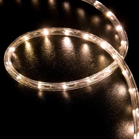 Oferta Especial Manguera de Luz LED Flexible Redonda 360 Grados Impermeable IP65 para Decoración Navideña Exterior