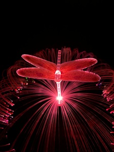 Nhà máy thiết kế IP65 năng lượng mặt trời Powered không thấm nước LED sợi quang Đèn chuồn chuồn sứa Vườn cỏ đèn có thể điều chỉnh nhiệt độ màu - Product Image 3