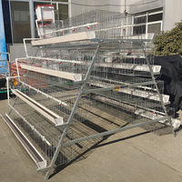Nuevo gallinero de acero galvanizado tipo A para 1000 aves, jaula de malla flexible para gallinas ponedoras, fabricación de 2 años de duración