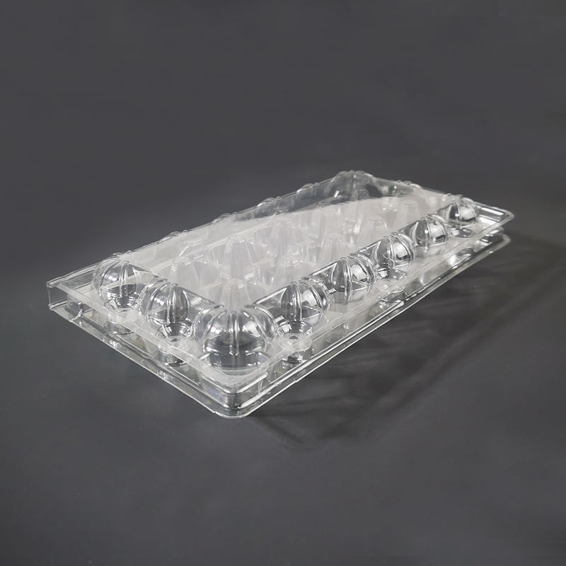 กล่องไข่นกกระทา18ช่อง