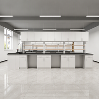 Mobilier de laboratoire scientifique scolaire pour la formation professionnelle, les ateliers de compétences pratiques et l'éducation technique