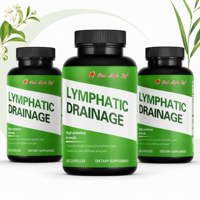 Formule de soutien lymphatique riche en antioxydants - Mélange d'herbes à haute puissance avec curcuma, rutine et bromélaïne