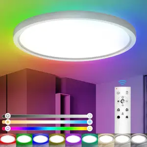 New Product Dimmable Brightness Compatible with Alexa and Google Home 24W Smart WIFI RGB LED Ceiling Light for Living Room