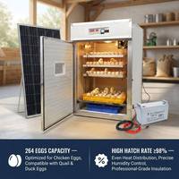 Couveuse d'oeufs de volaille à prix compétitif Couveuse d'oeufs automatique à énergie solaire