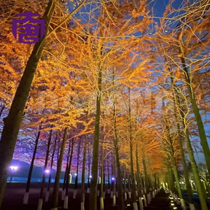 Lámpara LED de Alta Luminosidad RGBW 4 en 1 para Decoración de Árboles, Iluminación de Eventos y Espectáculos - Product Image 3