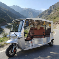 Tricycle standard L5e entièrement équipé pour la montée en pente avec contrôleur haute puissance et haute efficacité, homologué pour la route