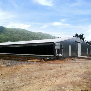 โรงเรือนโครงสร้างเหล็กสำหรับเลี้ยงวัว/ไก่/แกะ แบบโมเดิร์น พร้อมคานรูปตัว H - Product Image 2