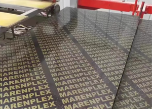 خشب رقائقي للبناء/القوالب من لينيي بسمك 18-21 مم، درجة E0، خالٍ من الفورمالديهايد، بتصميم عصري وسطح مغطى بطبقة سوداء/بنية - Product Image 5