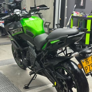 Motocicleta Usada Kawasaki Imaginary Beast 650 2026, Superventas, Motor Bicilíndrico en Paralelo de 4 Tiempos Refrigerado por Agua, 8 Válvulas, Alta Potencia - Product Image 3