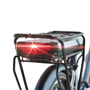 Bicicleta Eléctrica Plegable TXED Popular <span class=keywords><strong>de</strong></span> 20 Pulgadas con Cuadro <span class=keywords><strong>de</strong></span> Aleación <span class=keywords><strong>de</strong></span> Aluminio <span class=keywords><strong>de</strong></span> 6 Velocidades, Frenos <span class=keywords><strong>V</strong></span> y Motor en el Buje Trasero - Product Image 5