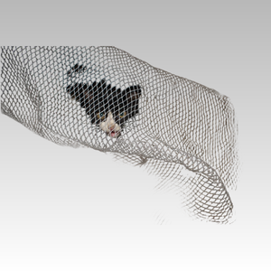 Nhà máy trực tiếp tùy chỉnh-thực hiện Polyethylene (PE) nông nghiệp chim lưới/chống mưa đá lưới - Product Image 2