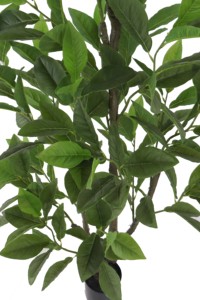 Arbre de gardénia artificiel de 1,85 m en direct d'usine - Plante artificielle en tige PE pour la décoration multi-scènes - Product Image 6