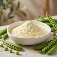 Poudre de protéine de pois hydrolysée 85% protéines, soluble dans l'eau, végétalienne, sans OGM, qualité alimentaire, en vrac, vente en gros, OEM, marque privée, usine