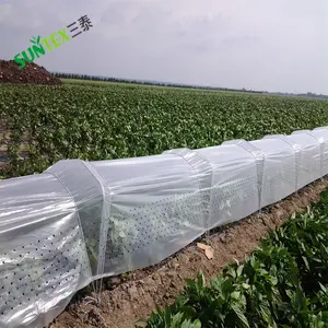 Landbouwgewassen Bedekken Geperforeerde Pe-Folie Plastic Mulchfolie Landbouw