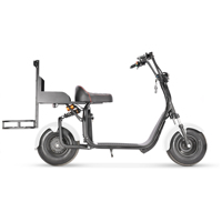 Motocicleta Eléctrica Plegable Inteligente, Resistente al Agua, con Neumáticos Anchos, 3000W/2000W, para Adultos, Ideal para el Mercado Australiano