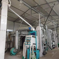 Usine de traitement du riz et du millet à haute efficacité