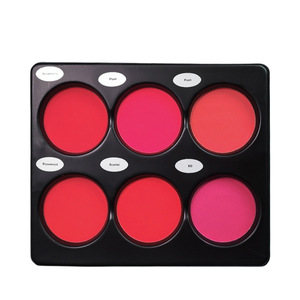 Palette de fards à joues 6 couleurs, finition mate et satinée, pigment longue durée pour tous les tons de peau - Product Image 1