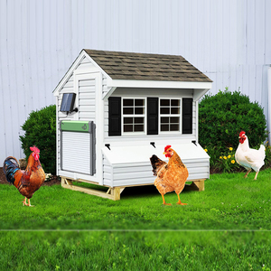 <span class=keywords><strong>Porte</strong></span> automatique <span class=keywords><strong>de</strong></span> <span class=keywords><strong>poulailler</strong></span> <span class=keywords><strong>de</strong></span> haute qualité, équipement d'élevage <span class=keywords><strong>de</strong></span> poulets, <span class=keywords><strong>porte</strong></span> <span class=keywords><strong>de</strong></span> <span class=keywords><strong>poulailler</strong></span> à énergie <span class=keywords><strong>solaire</strong></span> <span class=keywords><strong>pour</strong></span> élevage <span class=keywords><strong>de</strong></span> poulets - Product Image 5