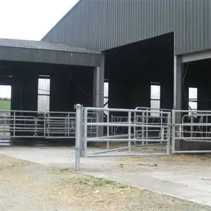 Prefabricated Steel Structure Cow Farm and Cow Shed