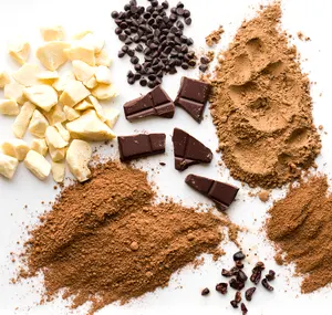 West African cocoa beans made cocoa powder 25kg fat content 10-12%