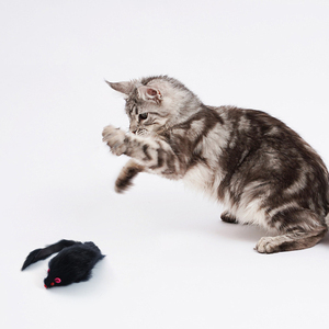 Juguete Interactivo para Gatos: Ratón de Peluche Grande con Sonido de Piedra Arenisca para Simular la Caza de Ratones - Product Image 4
