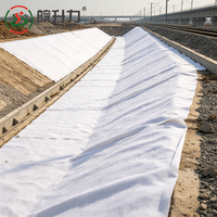 Géotextile non tissé en filament de polyester WSL pour la séparation et le drainage des chaussées d'autoroute, et la prévention des glissements des talus routiers