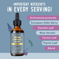 Complément Liquide OEM Marque Blanche Sans Sucre Formule Mélange 7 Herbes pour le Drainage Lymphatique et le Soutien Immunitaire en Gouttes