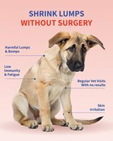 Complément alimentaire en poudre naturel pour chiens et chats, à base de queue de dinde, avec probiotiques et champignons pour la santé de l'intestin et du système immunitaire