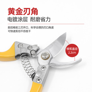 Basil Bypass Pruner 20-30 Mm Alloy Steel Blade Yellow Plastic Handle For Pruning Fruit Trees - Product Image 3