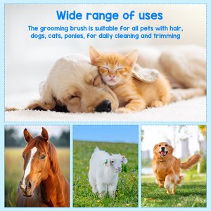 Factory Wholesale Custom Logo Cat Hair Removal <b>Pet</b> Shedding Comb Dog Deshedding <b>Brush</b> Tool for Horse - Product Image 2