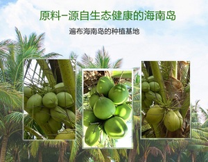 Latte di Cocco in Polvere Puro Naturale con 35%, 50%, 60% di Contenuto di Grassi, Ricco di Calcio per Gelati, Curry, Frullati, Latticini, Caffè, Cioccolato - Product Image 3