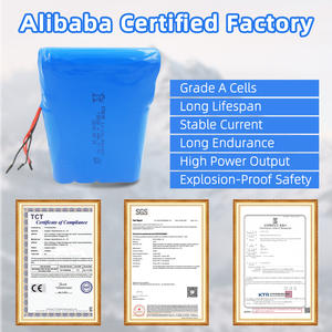 11.1V 3S2P充電式4400mAhリチウムイオン電池パックGPSトラッカー用 - Product Image 4