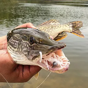 Señuelo de Pesca Flotante de TPR de 13cm con Aroma a Camarón, con Falda y Forma de Gusano Suave, Luminoso UV para Pesca Nocturna de Lubina, Trucha, Perca y Lucio - Product Image 6