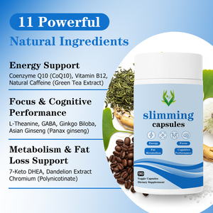 Cápsulas Adelgazantes de Marca Privada, 90 Cápsulas Vegetales, Contienen Extracto de Hoja de Ginkgo Biloba, Aumenta los Niveles de Energía, Cápsulas para Bajar de Peso - Product Image 3