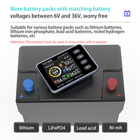 BW-TC169 12V 24V 36V 48V 60V testeur de batterie au plomb moniteur indicateur de capacité de batterie
