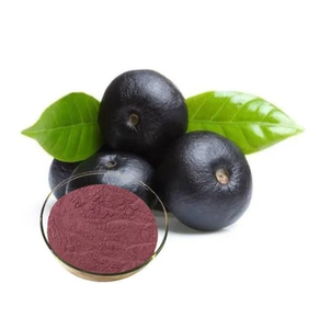 Cung cấp chất lượng cao <span class=keywords><strong>Acai</strong></span> Berry chiết xuất mẫu miễn phí Hữu Cơ <span class=keywords><strong>Acai</strong></span> Berry chiết xuất giá tốt nhất để bán - Product Image 2