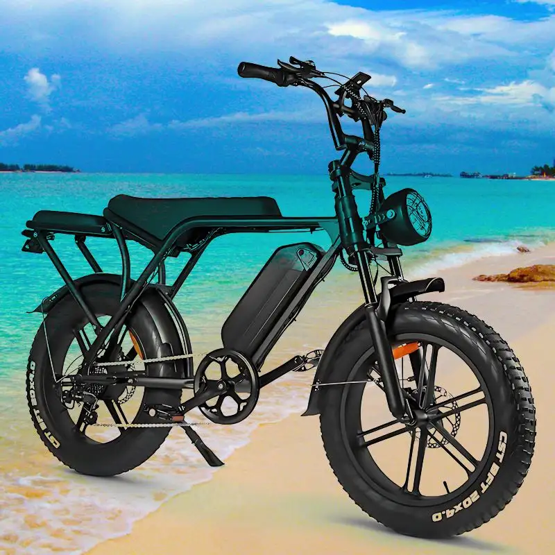 ビンテージバイク電動ファットバイクEUファットバイク750w新着eバイク20インチファットタイヤバイクv8オリジナル自転車在庫あり