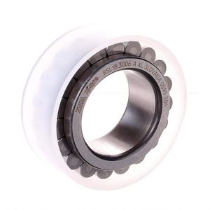 Roulements à rouleaux cylindriques RSL182205-A-XL 25x46.52x18mm mm RSL18 2205-A-XL Roulements à rouleaux complets - Product Image 6