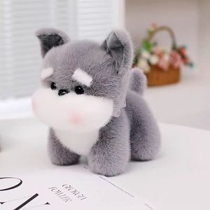 Dễ thương Husky gấu chó đồ chơi sang trọng mềm PP bông đầy Comforter cho trẻ em căng thẳng cứu trợ kỷ niệm siêu mềm sang trọng OPP - Product Image 6