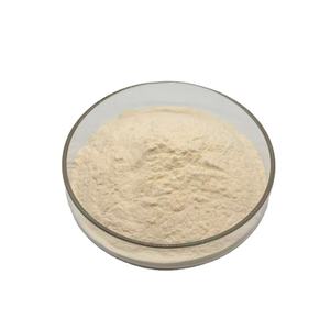 Yüksek Kaliteli Ham Madde <span class=keywords><strong>Zein</strong></span> Tozu Gıda Sınıfı <span class=keywords><strong>Zein</strong></span> Mısır Proteini - Product Image 4