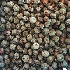 2025 Proveedor de China Bulk IQF Frozen Whole Blueberry 6-12mm Shandong China Precio competitivo - Product Image 6