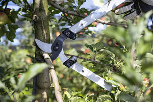 Sécateurs de jardinage fabriqués en <span class=keywords><strong>Suisse</strong></span>, 28 pouces, légers et de précision pour l'élagage des arbres |   Coupe-branches d'arbre |   Outil de taille d'arbres - Product Image 6