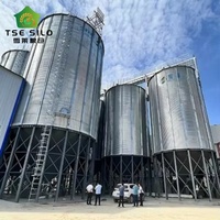 Silo à grain en acier à fond trémie personnalisé avec contrôle automatique PLC pour les projets mondiaux de transformation des aliments