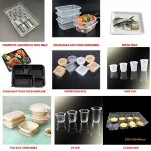 Plastic Thermoforming Making Machine Fully Automatic Thermoforming Machine Plastic PLA Biodegradable Cup Making Machine