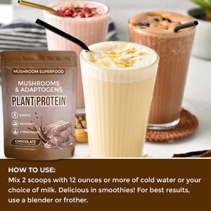 Extrait de champignon à marque privée, protéine végétale, superaliment, champignon crinière de <span class=keywords><strong>lion</strong></span>, adaptogènes, protéine de champignon - Product Image 3