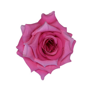 Sỉ hoa hồng nhân tạo thủ công 10cm, 520 bông, trang trí bánh cưới, tự làm, đồ trang trí ngày lễ tình nhân - Product Image 5