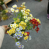 Fleurs artificielles de marguerite en soie, fausses fleurs de camomille, petites marguerites à tige pour décoration de mariage, maison, table, jardin