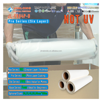 Jinlong DTF 30cm 33cm 60cm Film PET de transfert de chaleur prix d'usine Film de papier Dtf de transfert de chaleur pour T-shirt